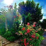 La Brainoise Maison Familiale Chaleureuse Avec Jardin Et Sauvage بيت للعطل Équihen-Plage