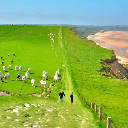 La Brainoise Maison Familiale Chaleureuse Avec Jardin Et Sauvage