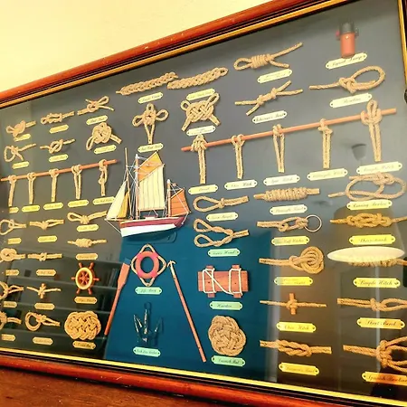 La Brainoise Maison Familiale Chaleureuse Avec Jardin Et Sauvage Сasa de vacaciones