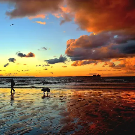 La Brainoise Maison Familiale Chaleureuse Avec Jardin Et Sauvage Vakantiehuis