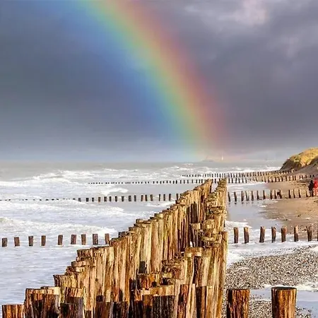 La Brainoise Maison Familiale Chaleureuse Avec Jardin Et Sauvage Vakantiehuis