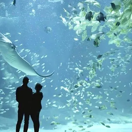 Vakantiehuis La Brainoise Maison Familiale Chaleureuse Avec Jardin Et Sauvage *