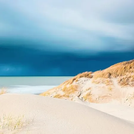 La Brainoise Maison Familiale Chaleureuse Avec Jardin Et Sauvage *